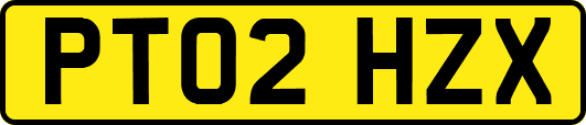PT02HZX