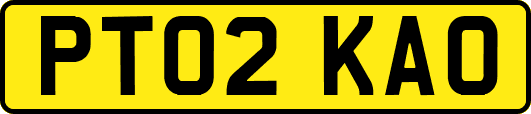 PT02KAO