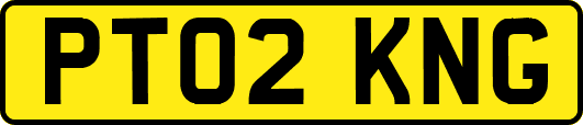 PT02KNG