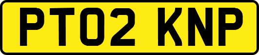 PT02KNP
