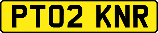 PT02KNR