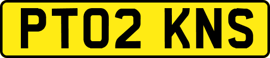 PT02KNS