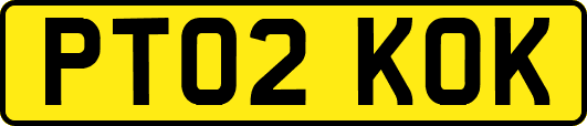 PT02KOK