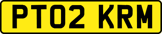 PT02KRM