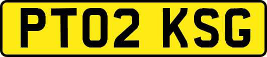 PT02KSG