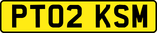 PT02KSM
