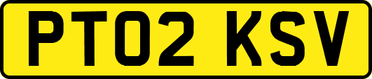 PT02KSV