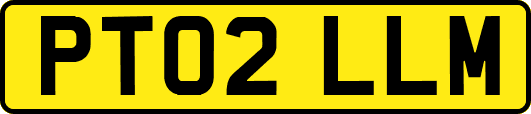 PT02LLM