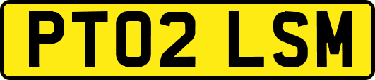 PT02LSM