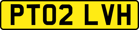 PT02LVH