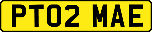 PT02MAE