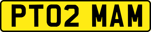 PT02MAM