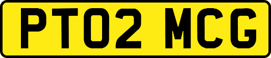 PT02MCG