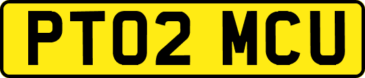 PT02MCU