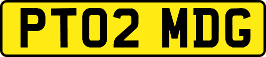 PT02MDG