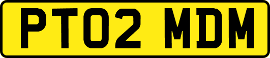 PT02MDM