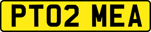 PT02MEA