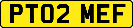 PT02MEF