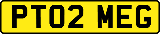 PT02MEG