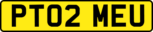 PT02MEU