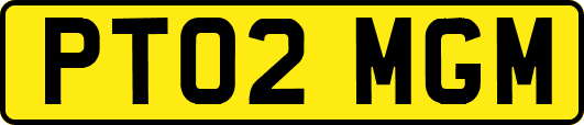 PT02MGM