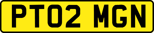 PT02MGN