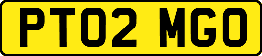 PT02MGO