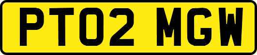 PT02MGW