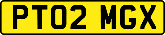 PT02MGX