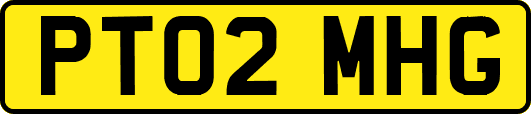 PT02MHG