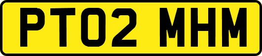 PT02MHM