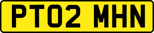 PT02MHN