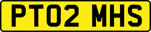 PT02MHS
