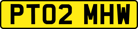 PT02MHW