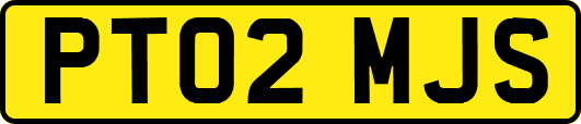 PT02MJS