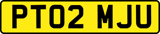 PT02MJU