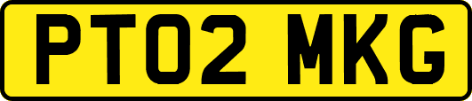 PT02MKG