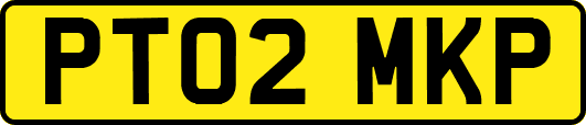 PT02MKP