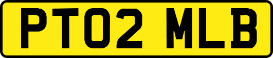 PT02MLB