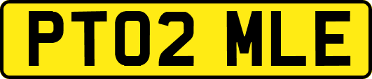 PT02MLE
