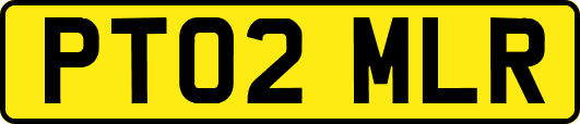 PT02MLR