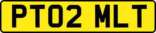 PT02MLT