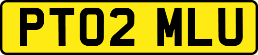 PT02MLU