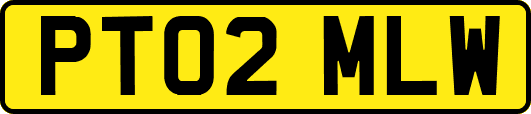 PT02MLW