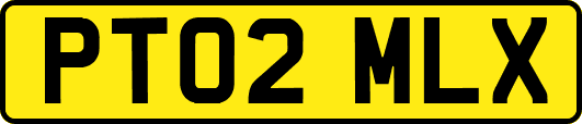 PT02MLX