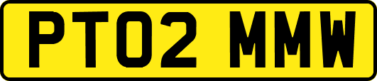 PT02MMW