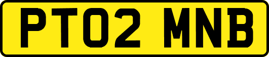 PT02MNB