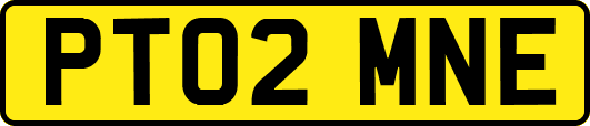 PT02MNE