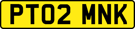 PT02MNK