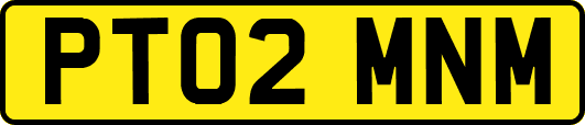 PT02MNM
